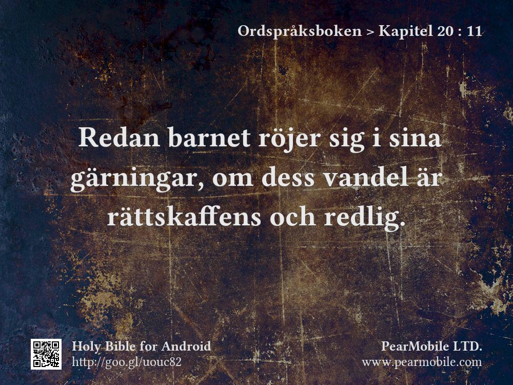 Ordspråksboken, Kapitel 20:11